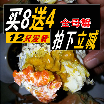 兴化大闸蟹现货鲜活红膏全母礼盒