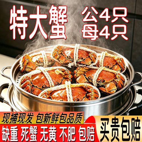 活蟹兴化大闸蟹鲜活螃蟹现货公蟹4.0-4.5两母蟹3.0-3.5两8只含绳