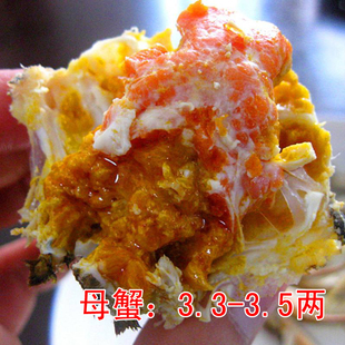 兴化红膏大闸蟹螃蟹鲜活现货全母蟹河蟹3.3 礼盒水产 3.5两8只装
