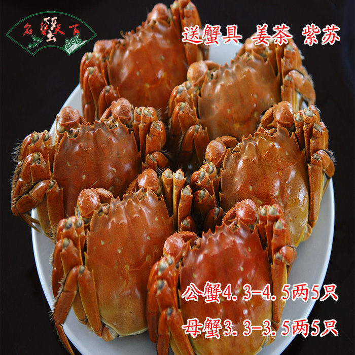 鲜活公蟹4.5两母蟹3.5两10只礼盒
