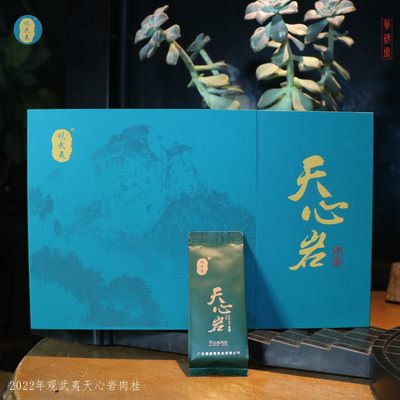 华颖堂掌柜推荐品版老茶鬼品鉴级专享工夫茶观武夷岩茶天心岩肉桂