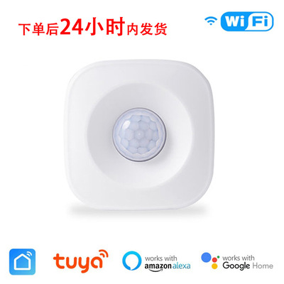 HOT其它智能家居用品WIFI人体