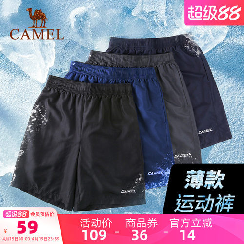 运动短裤骆驼速干跑步女