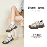 L24S469647A, рис/серебро/кофе (четыре сезона)