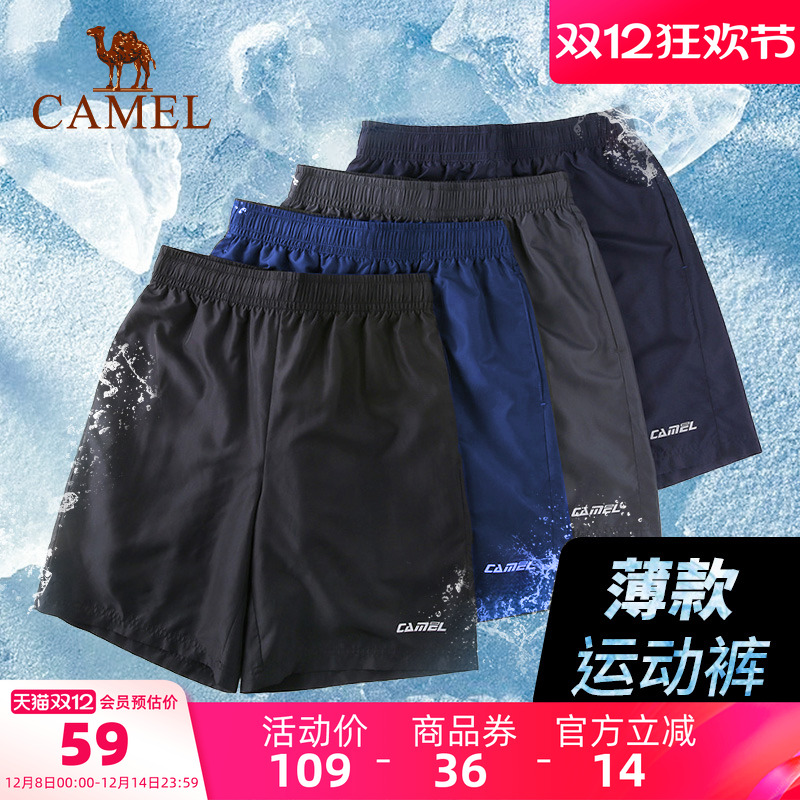 运动短裤骆驼速干跑步女