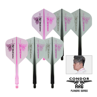 CONDOR AXE WINGS OF THE SWORD Hugo梁文洛款混色一体飞镖翼镖叶