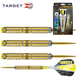 2017新款Dave Chisnall 奇斯诺22克24克金色钛合金硬式钨钢飞镖