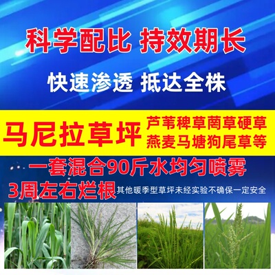 草坪杀茅草杀稗草草坪除草剂