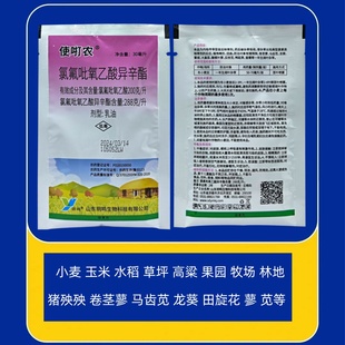 氯氟吡氧乙酸异辛酯小麦玉米草坪阔叶草水花生马齿苋猪殃殃田旋花