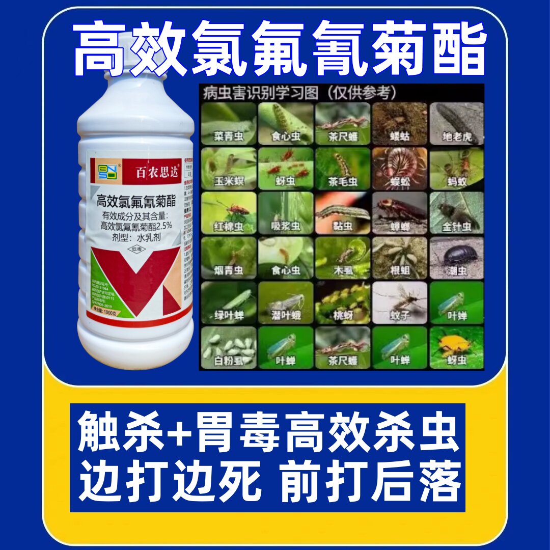 高效氯氟氰菊酯水乳剂毛毛虫蚜虫粉虱小黑飞土虫蔬菜瓜果药材农药