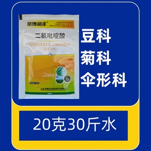 二氯吡啶酸小麦草坪灰灰菜小蓟刺儿菜鬼针草菊科豆科蒲公英田旋花