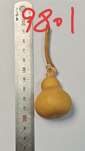 手撵小葫芦天然文玩手捻精品收藏真迷你胖墩龙头手把盘玩件挂摆件