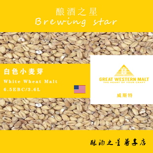 Wheat 美国威斯特麦芽Great White 进口 Western白色小麦芽 Malt