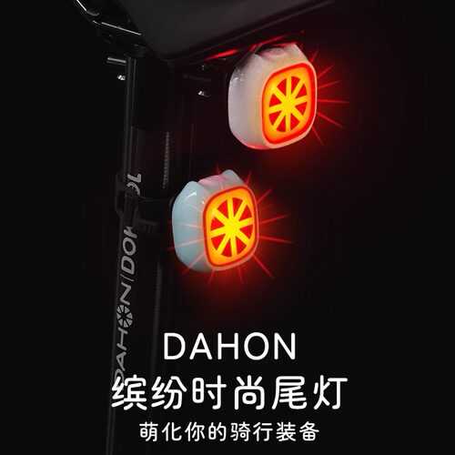 dahon大行自行车尾灯公路车童车可爱夜骑后尾灯智能感应警示p8p10