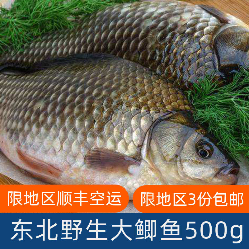 东北水产大鲫鱼开河鱼淡水食用小杂鱼鲜活现杀速冻1斤