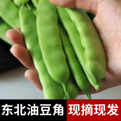 东北现摘无筋宽油豆角