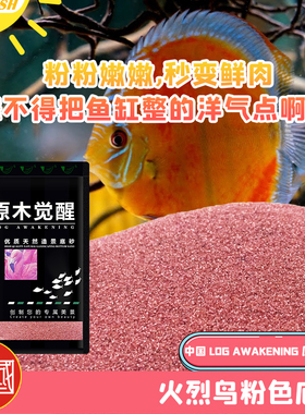 原木觉醒粉沙鱼缸造景砂南美溪流原生沙火烈鸟粉色雷龙古法缸造景