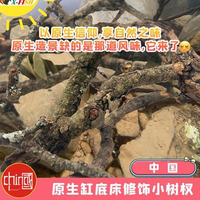 修饰小树杈鱼缸造景装饰摆件