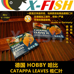 包邮 懒人叶 软水降低PH值预防真菌 杏仁叶 德国哈比Hobby榄仁叶