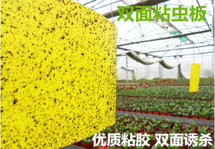 粘虫板 捕虫板 诱虫板 黄板 捉虫板 粘虫胶 粘虫纸 环保物理防虫