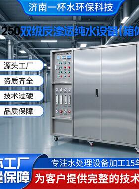 双级反渗透纯水设备RO-250箱体式厂家工业净水器反0.5吨纯水设备
