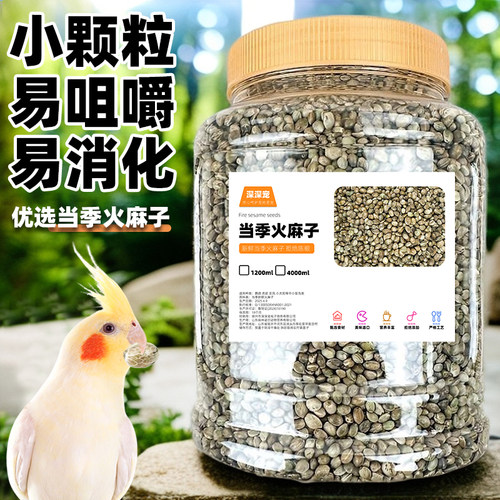 深深宠鹦鹉小颗粒火麻子
