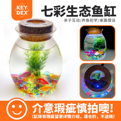 观赏小鱼缸桌面摆设仿生态养鱼