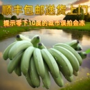 云南顺丰农家香蕉高山自然成熟香蕉水果banana孕妇芝麻蕉香甜糯滑