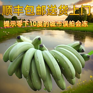 云南顺丰农家香蕉高山自然成熟香蕉水果banana孕妇芝麻蕉香甜糯滑