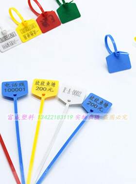 防伪锁防调包扣扎带网线标