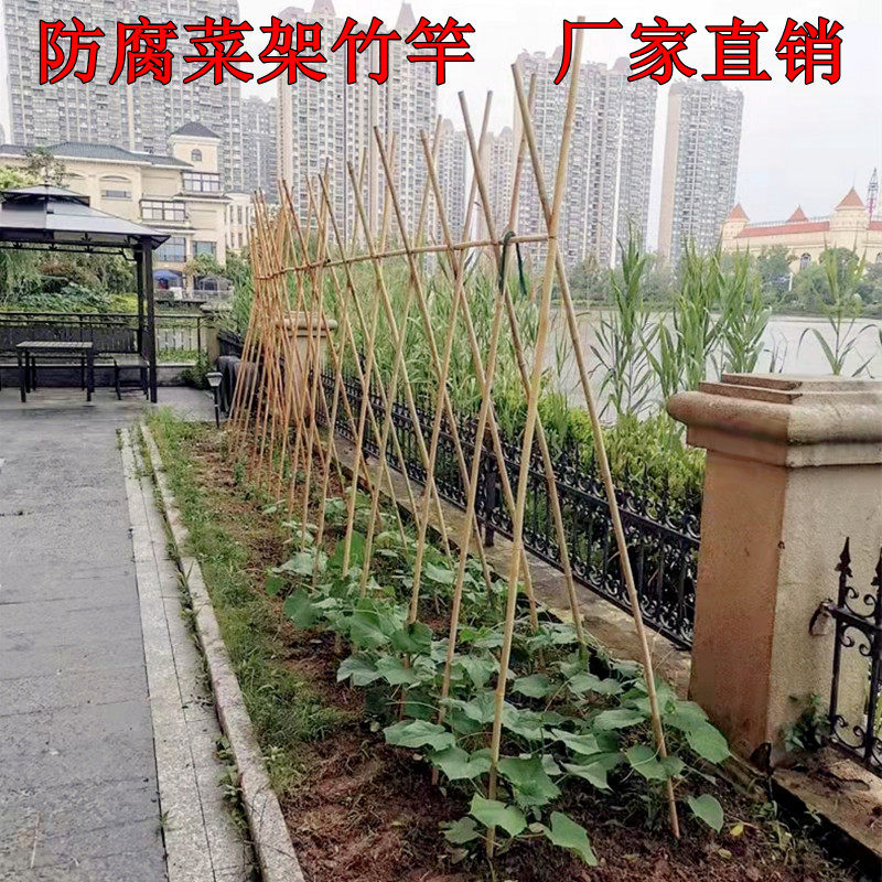 如何用竹竿搭架种菜,用竹子做简易大棚,种菜架子怎么搭(第21页)_大山谷图库