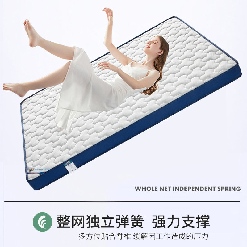 榻榻米席梦思薄款弹簧床垫定制1图片