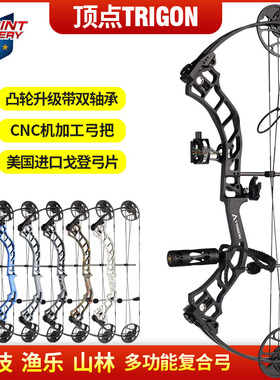 官方顶点TRIGON复合弓箭套装反曲直拉弓户外射准娱乐竞技射箭器材