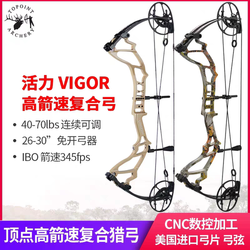 顶点 2024款 活力VIGOR 复合弓弓箭套装 高箭速猎弓 射程远