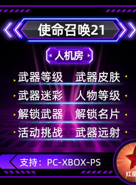 COD21人机房 妙妙屋 武器等级 迷彩皮肤 解锁武器 代肝