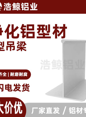 净化铝材夹芯板吊顶岩棉泡沫彩钢6080T字55100T铝吊梁净化铝型材