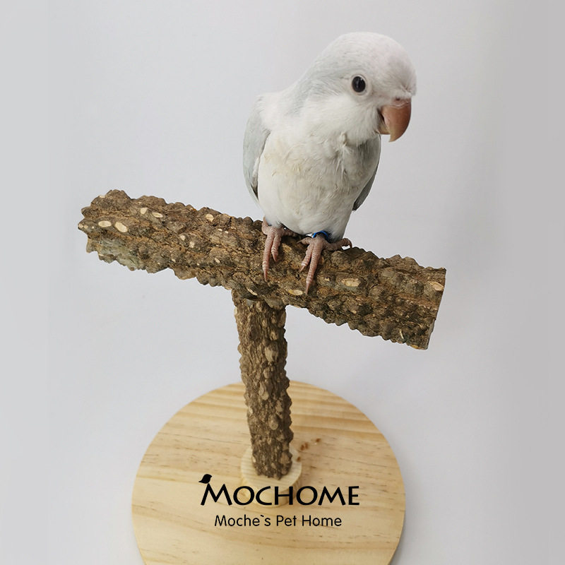 摩卡户外宠物用品牡丹玄凤鹦鹉花椒木互动游乐场训练玩具中小型站