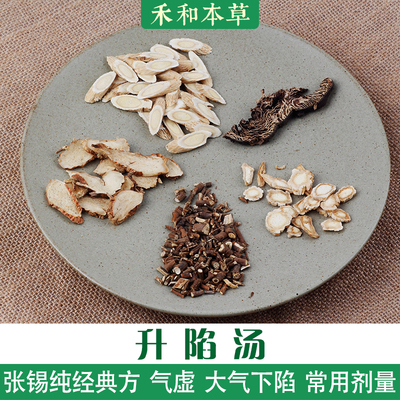 升陷汤大气下陷张锡纯经验方