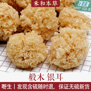银耳无硫野生椴木去蒂银耳新货高泡发率易出胶药食同源禾和本草