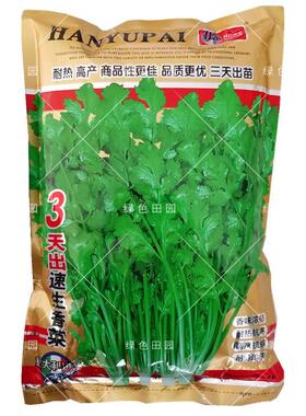 意大利进口 3天出速生大叶香菜种子耐热高产春秋四季蔬菜芫荽籽孑