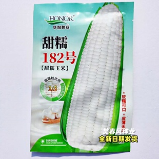 甜糯182白色甜玉米种籽甜糯水果种子四季超甜粘农家糯春季夏种孑