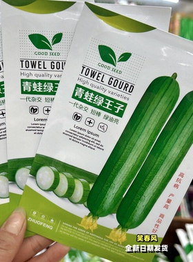 青蛙绿王子丝瓜种籽一代杂交短棒绿油亮丝瓜种子农家大田基地播种