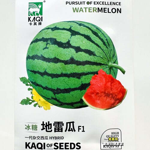 西瓜种子大全冰糖地雷瓜石头瓜种籽皮薄脆甜农家小菜园播种孑