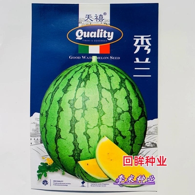 早熟黄壤小西瓜种籽孑家庭小菜园春夏季播优质杂交一代礼品瓜种子
