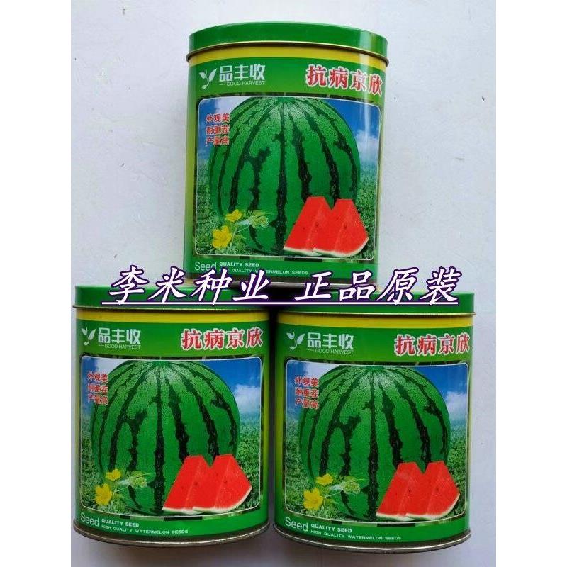 西瓜种子大全抗病京欣/西农八号/沙漠一号特大抗病耐重茬西瓜种籽