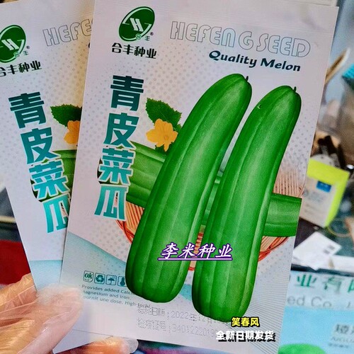 青皮菜瓜种子脆瓜梢瓜种籽甜脆多汁生食凉拌腌制春秋季播蔬菜种孑