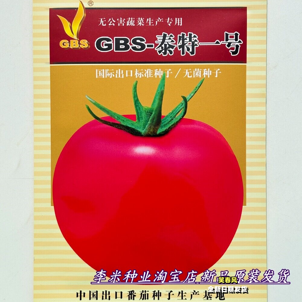 大连GBS泰特一号粉红番茄种子无限生长型大果西红柿种籽