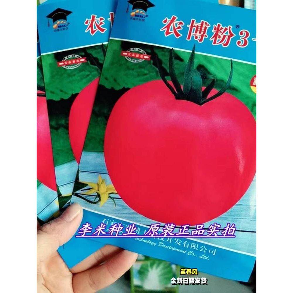 农博粉番茄种籽老品种西红柿种子无限生长粉果番茄种子春秋季播种