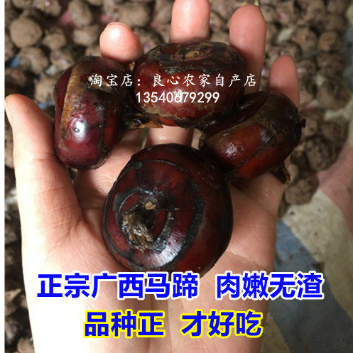 广西马蹄新鲜荸荠10斤 荔浦马蹄应季水果蔬菜农产品新鲜不泡药甜,水产肉类/新鲜蔬果/熟食,荸荠/马蹄,淘宝优惠券,粉丝福利购,淘宝优惠卷