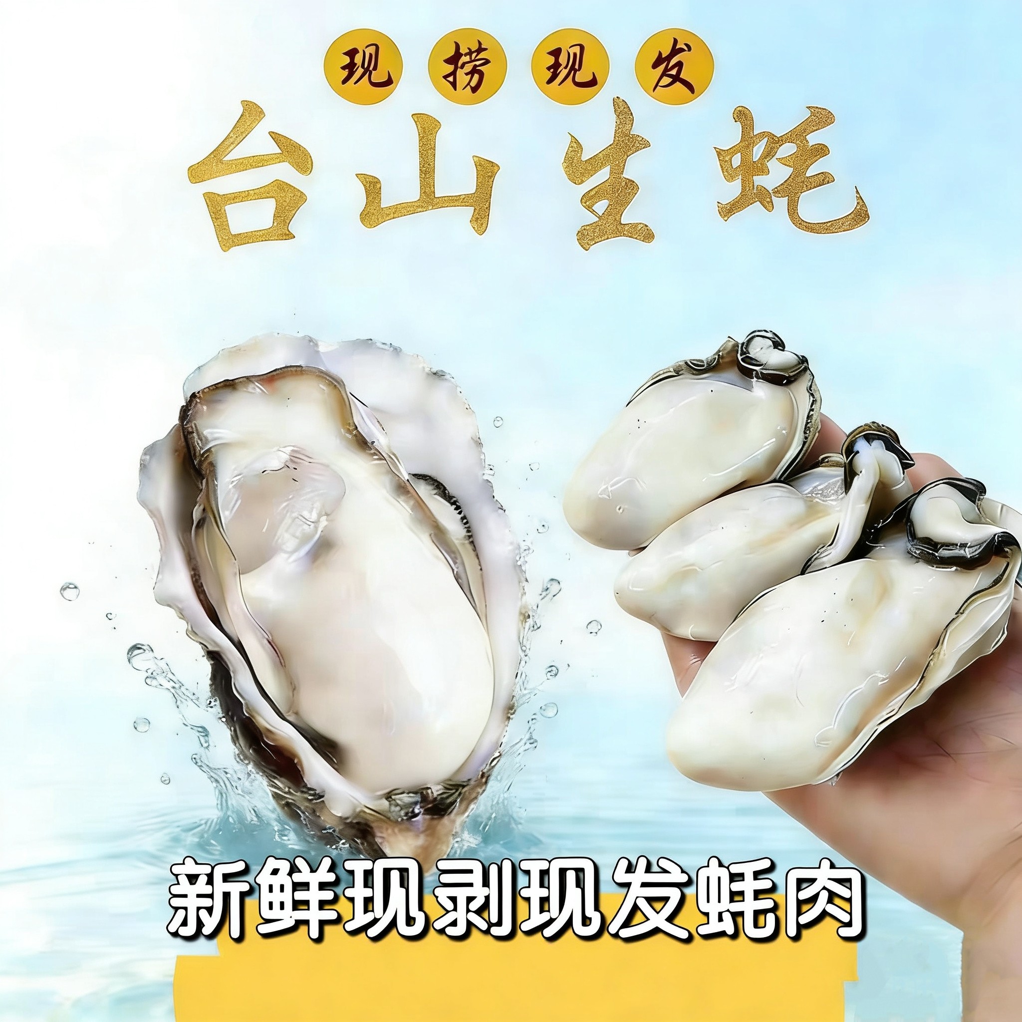 广东台山生蚝白蚝鲜活当天现剥蚝贝类制品